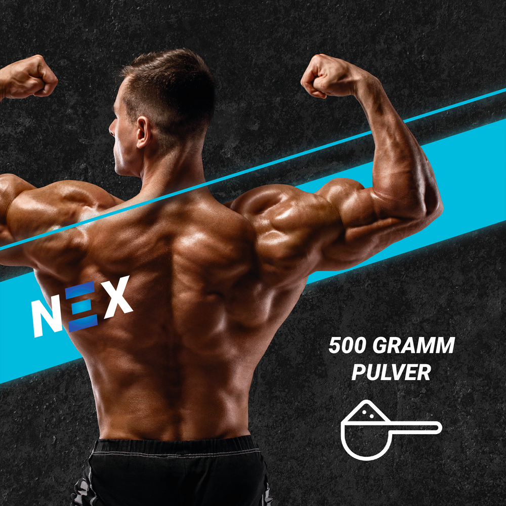 
                      
                        NEX Crea Opti Creatine Monohydrate
                      
                    